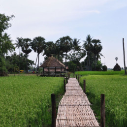Cambodia