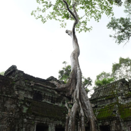 Cambodia