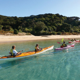 New Zealand - Bay of Islands - Northland Adventure