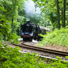 Argentina - Iguazu Train in the Jungle