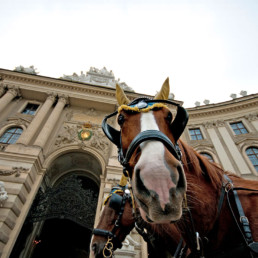 Austria-Vienna