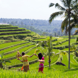 Bali