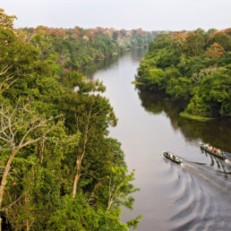 Brazil- Amazon