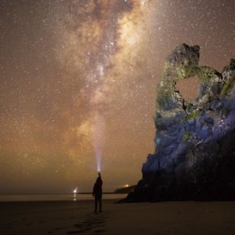 New Zealand - Chris Stephenson - Aramoana Beach - Dunedin