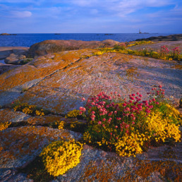 Finland