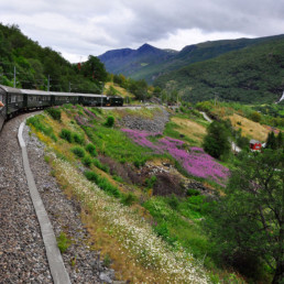 Norway