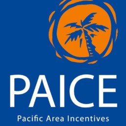 PAICE Logo