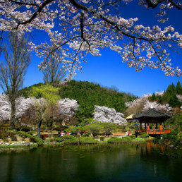 South Korea