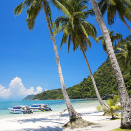Thailand Samui